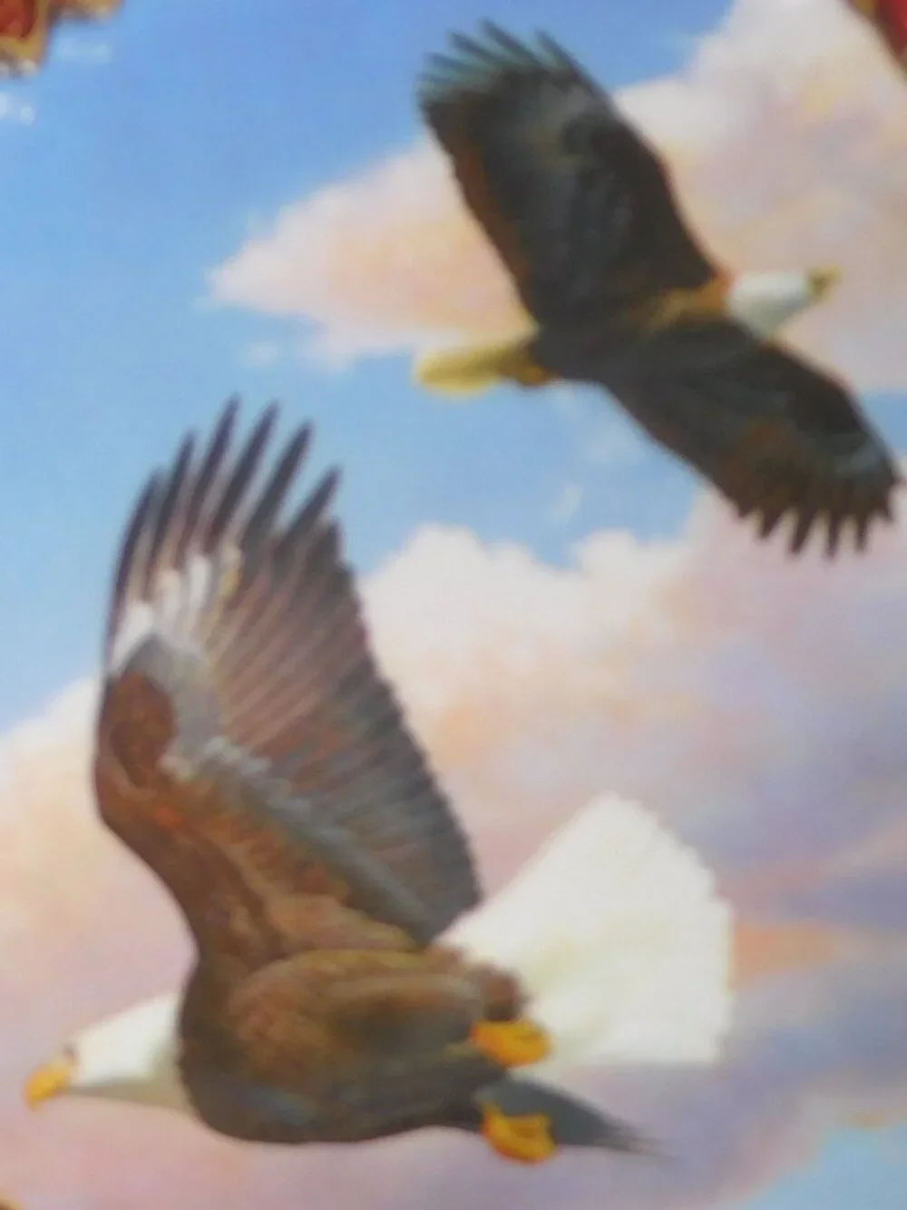 The Hamilton Collection soaring spirits
